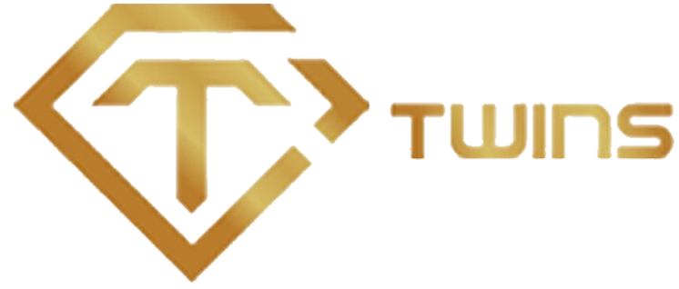 Twins logo